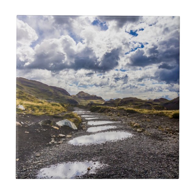 Azulejo Día De Lluvia En Torres Del Paine NP (Frente)