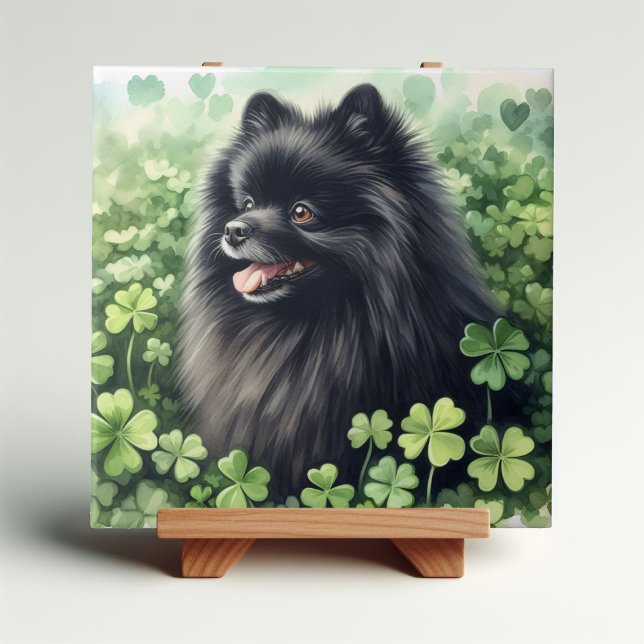 Azulejo Día de Santo Patrocinador de Pomerania Negra (Subido por el creador)