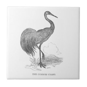 Azulejo Dibujo a pluma y tinta de grulla vintage