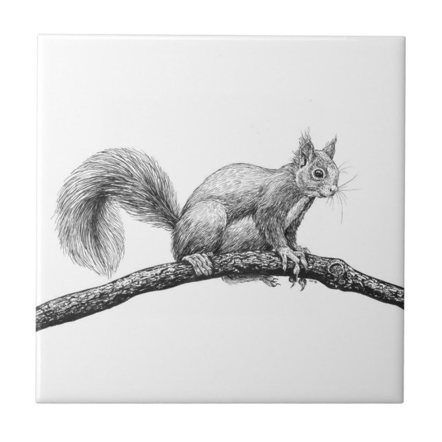 Azulejo Dibujo de ardillas (Frente)