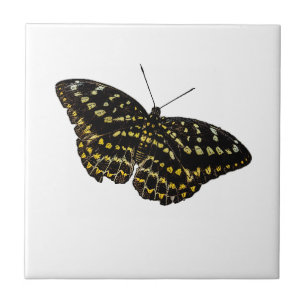 Azulejo Dibujo de la naturaleza del arte de la mariposa am