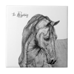 Azulejo Dibujo de lápiz gráfico de arte de caballos en bla