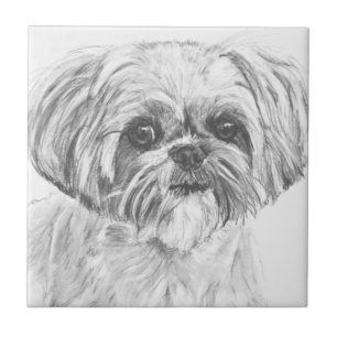 Azulejo Dibujo de Shih Tzu