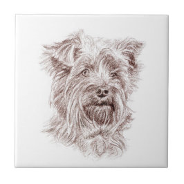 Azulejo Dibujo de Yorkshire Terrier