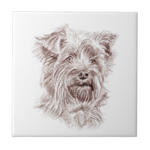 Azulejo Dibujo de Yorkshire Terrier