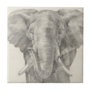 Azulejo Dibujo elefante