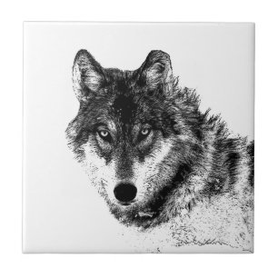 Azulejo Dibujo gráfico de boceto de lobo gris