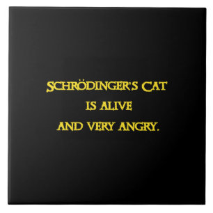 Azulejo Dilema Cuántico Divertido - El Gato de Schrödinger