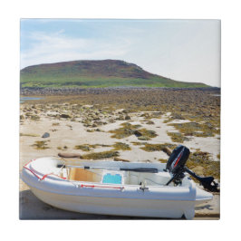 Azulejo Dinghy en la playa