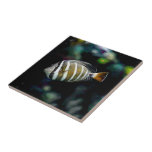 Azulejo Diseño acuático subacuático de peces tropicales<br><div class="desc">Regalos de cocina acuática de peces tropicales. Bonita decoración marinera decorativa. Baldosa cerámica de contrachapado costero. Derechos de imagen de Marg Seregelyi Photography.</div>