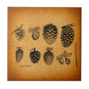 Azulejo Diseño antiguo de arte de pinecones de pino rústic