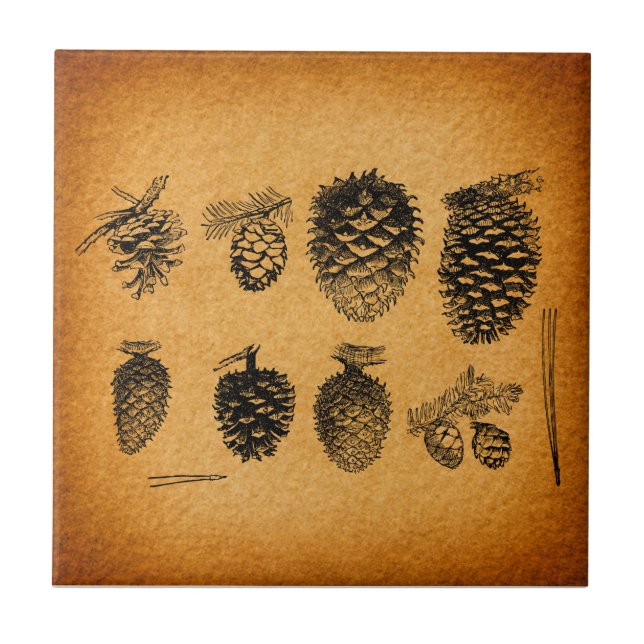 Azulejo Diseño antiguo de arte de pinecones de pino rústic (Frente)