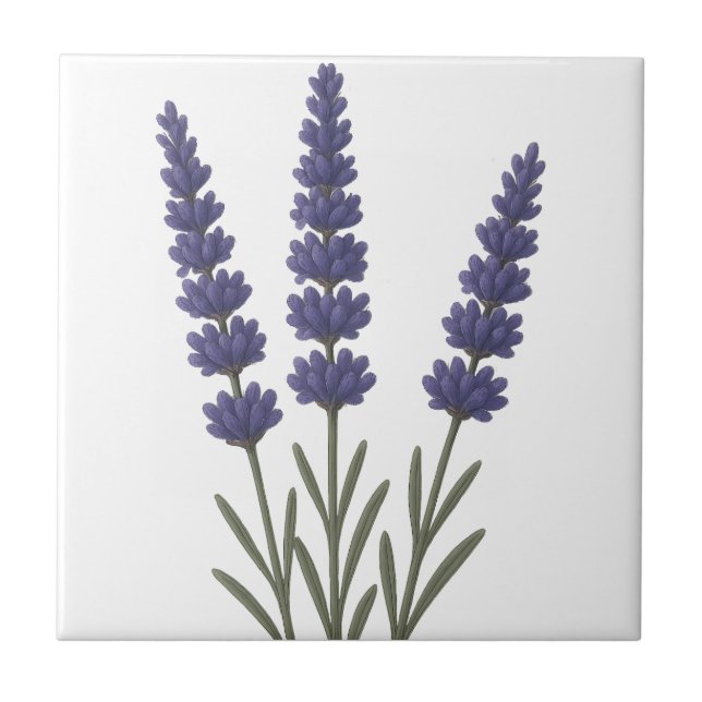 Azulejo Diseño de arte botánico de lavanda clásico (Frente)