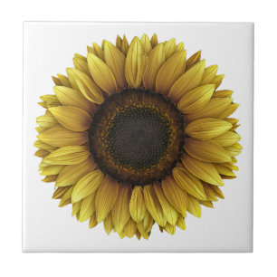 Azulejo Diseño de arte botánico Vivid Sunflower