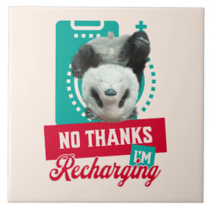Azulejo Diseño de Batería Social Panda Agotado Introvertid