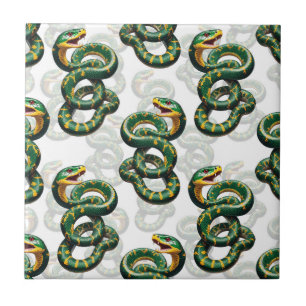 Azulejo Diseño del patrón de serpiente de fondo blanco