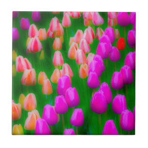 Azulejo Diseño floral de tulipanes rosados y naranjas