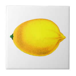 Azulejo Diseño hermoso limón acuarela