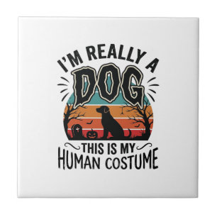 Azulejo Disfraz Divertido de Humano para Perro Halloween V
