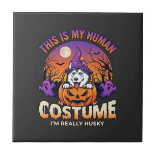 Azulejo Disfraz Humano Husky Calabaza Halloween Fantasmas_