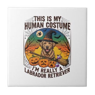 Azulejo Disfraz Humano Labrador Retriever Bruja de Hallowe