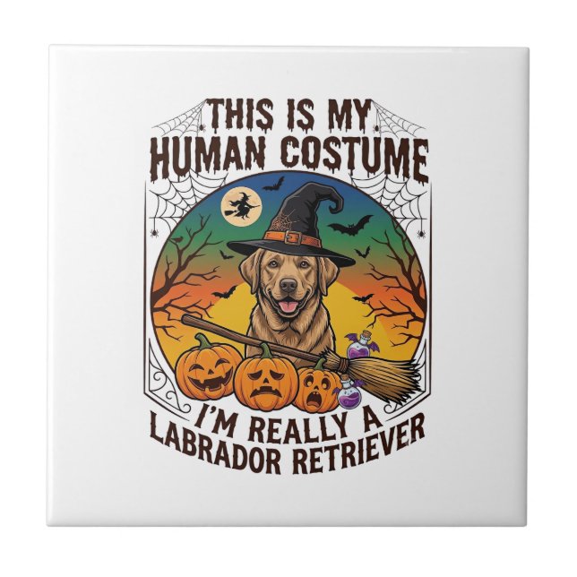 Azulejo Disfraz Humano Labrador Retriever Bruja de Hallowe (Frente)