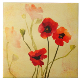 Azulejo Disquetes Sombras Mosaicos Con Acceso A La Ducha S