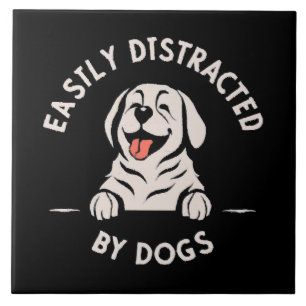 Azulejo Distraído fácilmente por perros