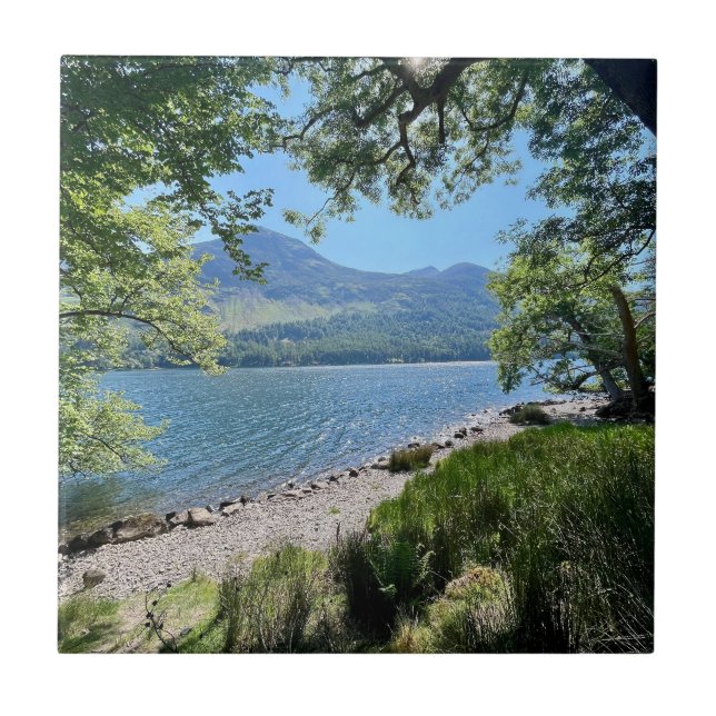 Azulejo Distrito de Lake (Frente)