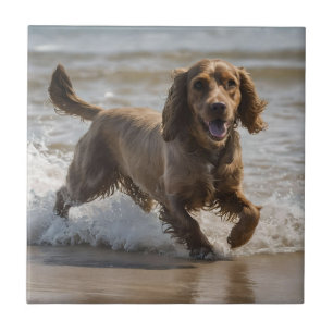 Azulejo "Diversión costera: Una obra de Cocker Spaniel en 