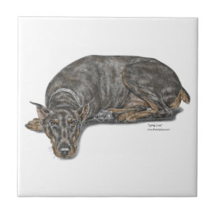 Azulejo Doberman de mirada culpable triste