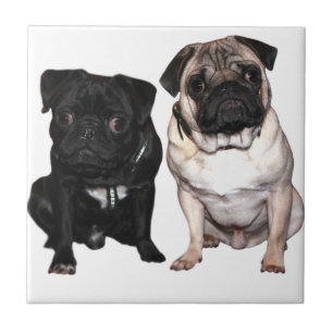 Azulejo Doguillo Jack y Richi