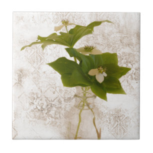 Azulejo Dogwood Bunch Berry texturizado en Jar Still Life