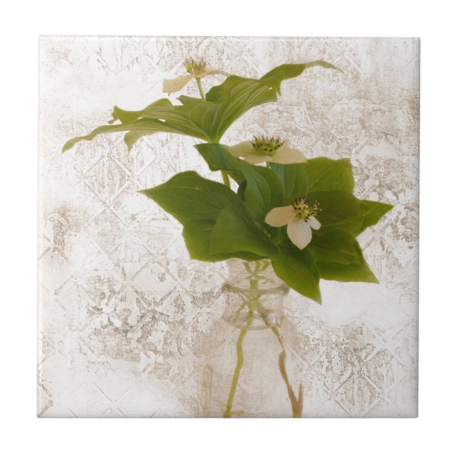 Azulejo Dogwood Bunch Berry texturizado en Jar Still Life (Frente)