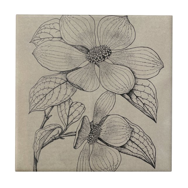 Azulejo Dogwood Ceramic Tile (Frente)