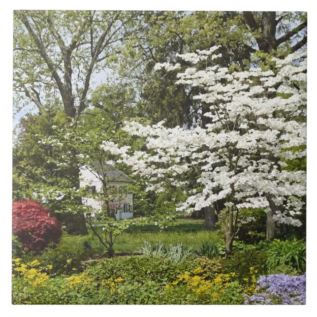 Azulejo Dogwood en flor (Frente)