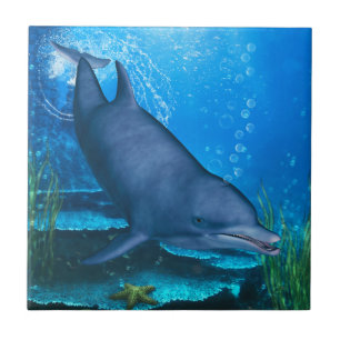 Azulejo Dolphin Underwater