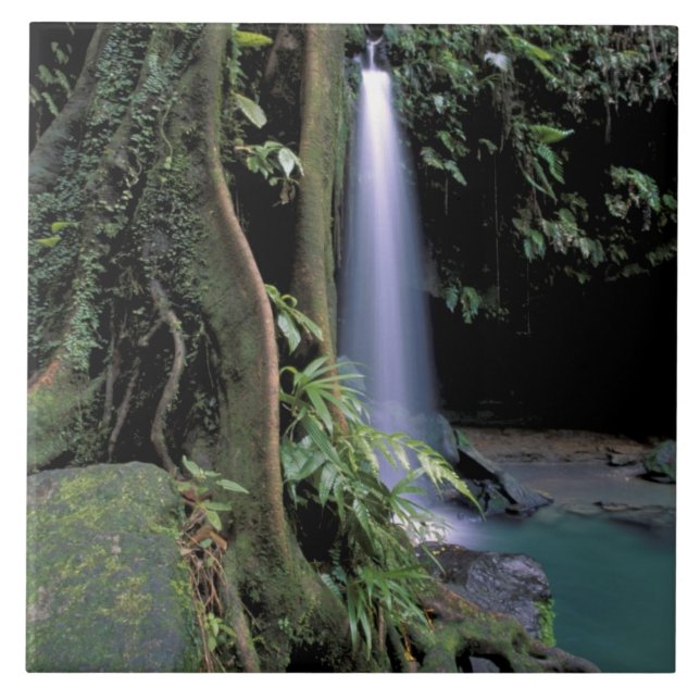 Azulejo Dominica, Estanque Esmeralda, Cascada. (Frente)