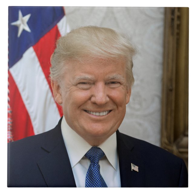 Azulejo Donald Trump Presidente de los Estados Unidos Casa (Frente)