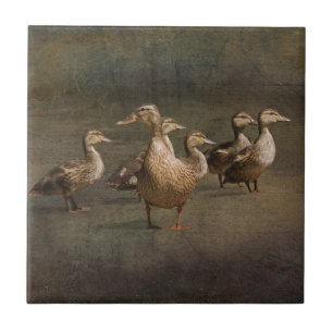 Azulejo ¿Dónde ahora?