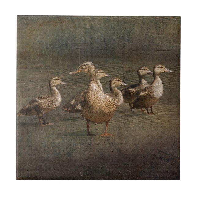 Azulejo ¿Dónde ahora? (Frente)