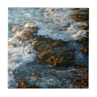 Azulejo Donde el océano se encuentra con las rocas