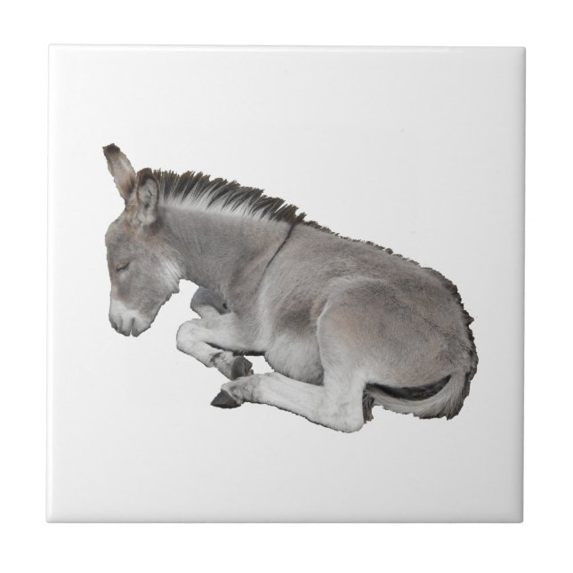 Azulejo Donkey Foal (Frente)