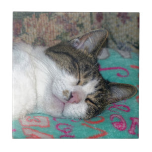 Azulejo Dormir