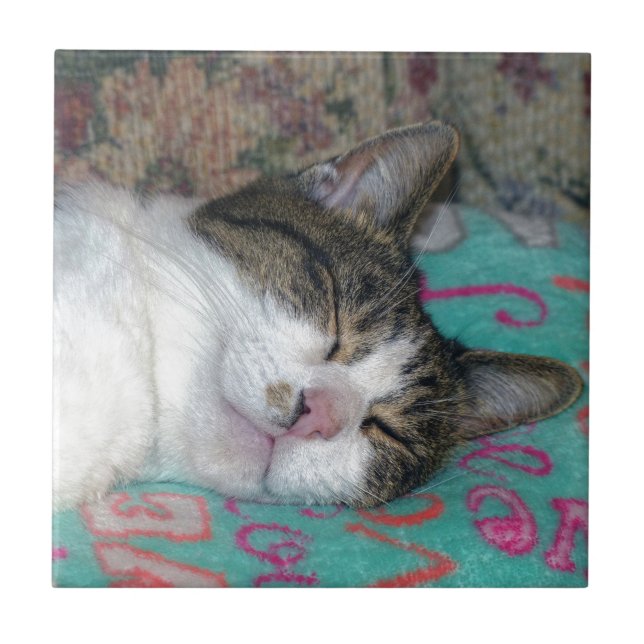 Azulejo Dormir (Frente)
