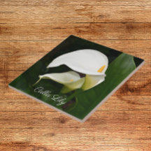Dos Calla Lilies Floral Blanca