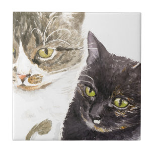 Azulejo Dos gatos - atigrado y carey