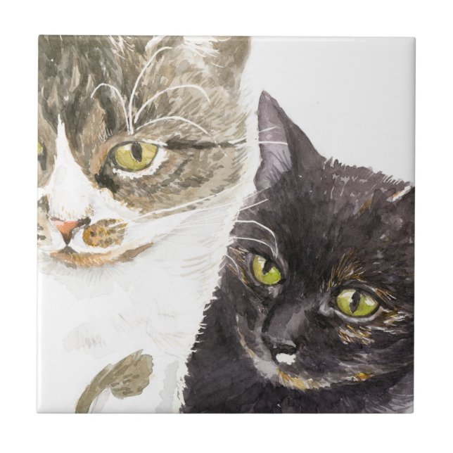 Azulejo Dos gatos - atigrado y carey (Frente)