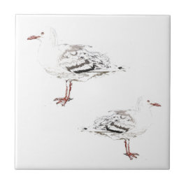 Azulejo Dos gaviotas acuarelas Sketch Birds