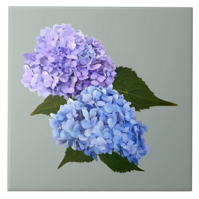 Azulejo Dos lavanda de Hydrangea y azul (Frente)